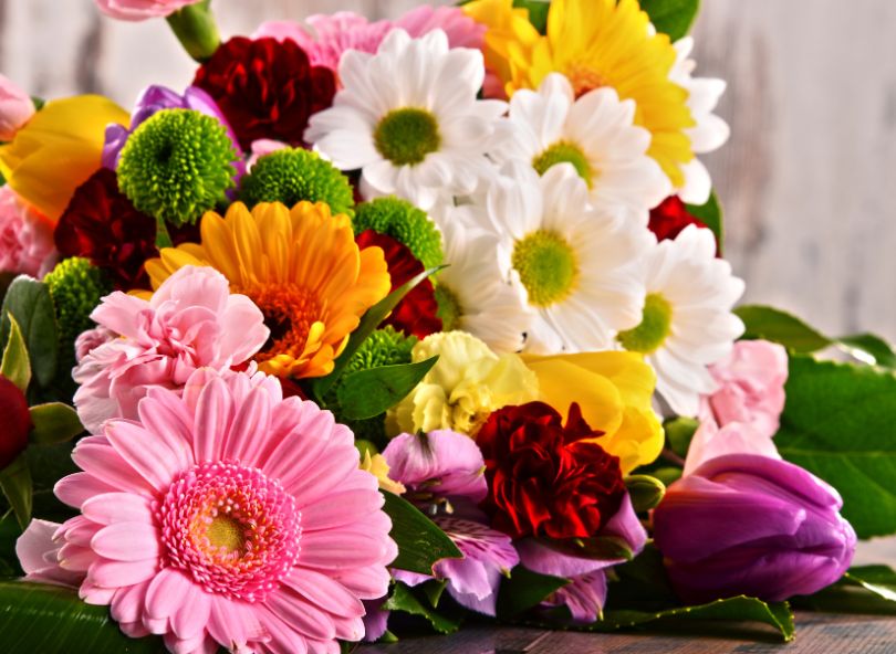 fleurs anniversaire livraison fleuristes comparaison bloomyrama