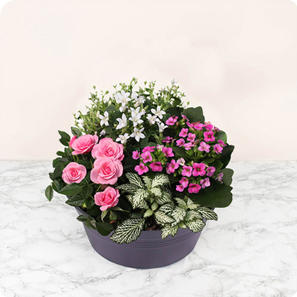 coupe de plantes fleuries pour deuil fleurs de cœur 123 fleurs bloomyrama