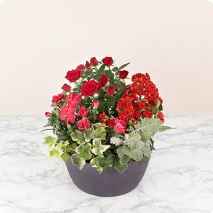 Arrangement de fleurs pour deuil Floraison 123fleurs bloomyrama