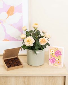 Un rosier chocolats carte cache pot bergamotte bloomyrama