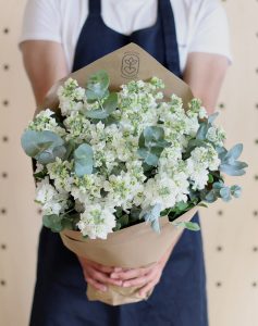 bouquet de giroflées blanches comparateur fleurs de saison bloomyrama