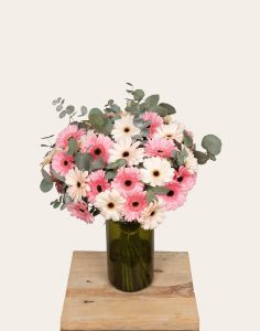 Bouquet de germinis livraison fleurs monsieur marguerite comparaison bloomyrama