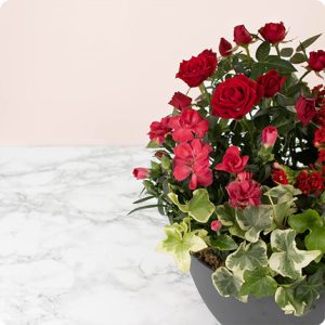 Arrangement de fleurs pour deuil Floraison 123fleurs bloomyrama