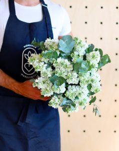 bouquet de giroflées blanches comparateur fleurs de saison bloomyrama