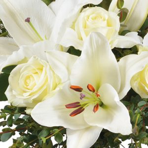 bouquet de fleurs blanches lys et roses comparaison bloomyrama