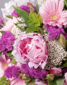 Bouquet de saison livraison monsieur marguerite comparaison bloomyrama