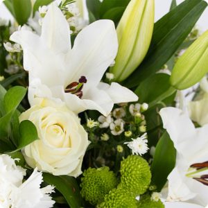 Bouquet compassion blanc et vert lys et roses 123fleurs comparateur de fleurs bloomyrama