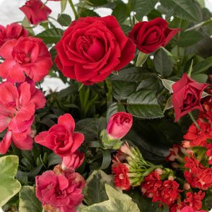 Arrangement de fleurs pour deuil Floraison 123fleurs bloomyrama