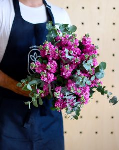 bouquet de giroflées blanches comparateur fleurs de saison bloomyrama