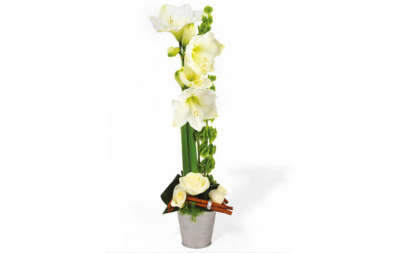 Composition florale chic amaryllis roses renoncules Agitateur floral comparateur bloomyrama