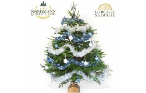 Sapin Nordmann décoré bleu argent Livraison Agitateur floral comparateur bloomyrama