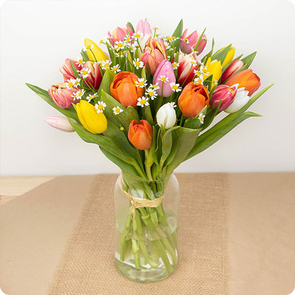 Adorables Tulipes multicolores livraison 123fleurs comparateur de fleurs bloomyrama