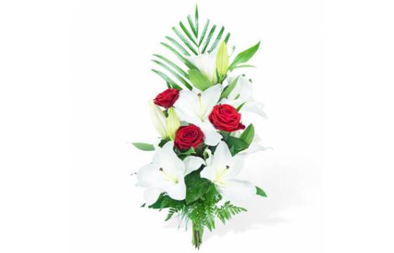 Mystère de roses blanc et rouge Agitateur floral comparateur bloomyrama