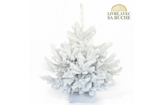 Sapin floqué blanc pailleté livraison Agiatetru floral comparateur bloomyrama