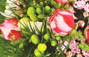 Bouquet caresse rond et rose Agitateur floral Comparaison bloomyrama