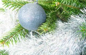 Sapin Nordmann décoré bleu argent Livraison Agitateur floral comparaison bloomyrama