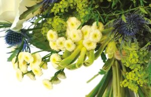 Bouquet blanc bucolique Agitateur floral comparateur bloomyrama