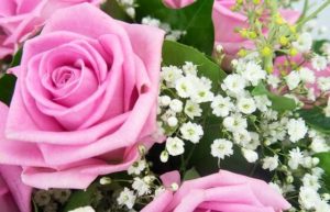 Bouquet Pluie de roses L'Agitateur floral Comparateur bloomyrama