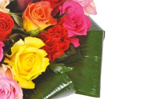 Roses multicolores peps livraison roses Agitateur Floral Comparaison bouquets Bloomyrama