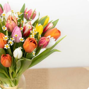 Adorables Tulipes multicolores et petites fleurs livraison 123fleurs comparateur de fleurs bloomyrama