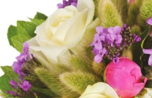 Bouquet Panache Agitateur Floral Comparateur bloomyrama