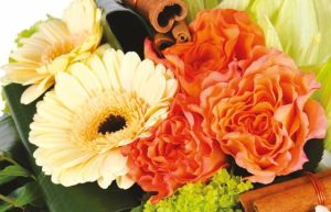 Bouquet confidence roses gerberas livraison Agitateur floral comparateur bloomyrama