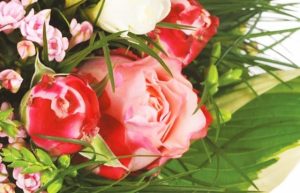 Bouquet caresse rond et rose Agitateur floral Comparateur bloomyrama