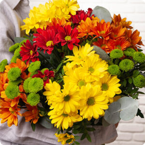 Bouquet chrysanthèmes variés livraison 123fleurs comparateur de fleurs bloomyrama