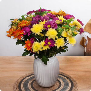 Bouquet coloré de saison Yuma Chrysanthèmes et Alstromerias 123fleurs Comparateur bloomyrama