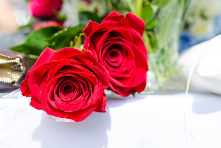 Tout savoir sur les Roses Rouges : Origines, signification et occasions pour les offrir