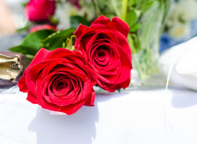 Tout savoir sur les roses rouges - blog bloomyrama