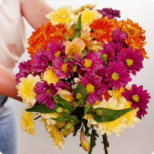 Bouquet multicolore de saison Yuma Chrysanthèmes et Alstromerias 123fleurs Comparateur bloomyrama