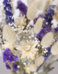 Féerie Bleue fleurs séchées livraison Monsieur Marguerite Comparateur bloomyrama