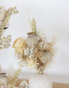 Trio de solifore blanc fleurs séchées naturelles monsieur marguerite comparatif bloomyrama