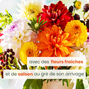 Bouquet multicolore de dahlias 123fleurs comparateur bloomyrama