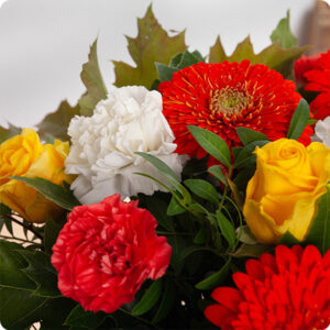 Bouquet multicolore automne viva 123fleurs comparateur de fleurs bloomyrama