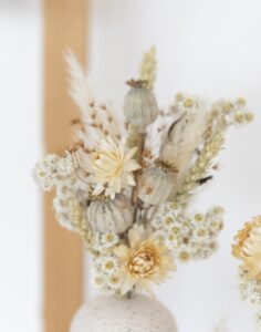 Trio de solifore blanc fleurs séchées naturelles monsieur marguerite comparateur bloomyrama