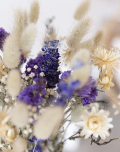 Livraison fleurs séchées Féerie Bleue Monsieur Marguerite Comparateur bloomyrama