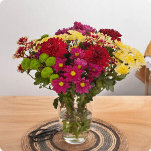 Bouquet santini multicolore automne chrysanthèmes santinis livraison 123fleurs comparateur bloomyrama