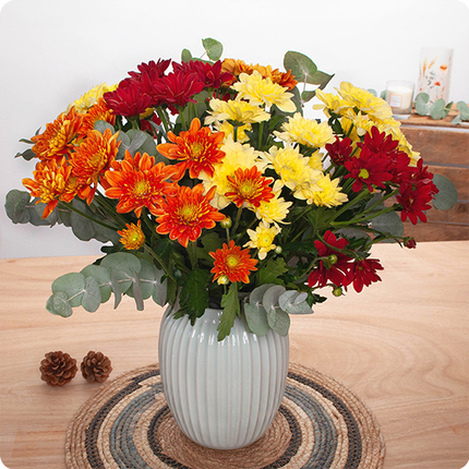 Bouquet Coco chrysanthèmes colorés et eucalyptus Livraison 123fleurs comparaison bloomyrama