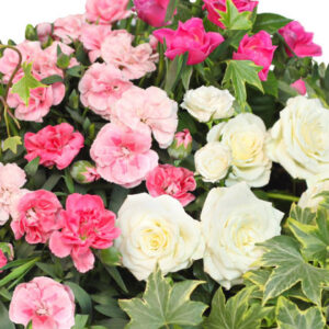 Coupe de plantes fleuries rose vert blanc deuil livraison tombe 123fleurs comparateur de fleurs bloomyrama