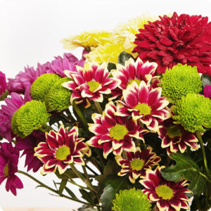 Bouquet santini couleurs automne chrysanthèmes santinis livraison 123fleurs comparateur bloomyrama