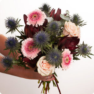 Bouquet Volupté gerberas roses chardons bleus Livraison 123fleurs comparaison de fleurs bloomyrama