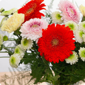 Bouquet Pom-Pom gerberas œillets livraison 123 fleurs comparateur bloomyrama