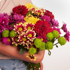 Bouquet santini multicolore chrysanthèmes livraison 123fleurs comparateur bloomyrama