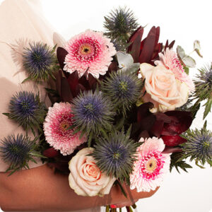 Bouquet Volupté rose et bleu chardons gerberas Livraison 123fleurs comparateur bloomyrama