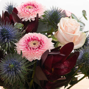 Bouquet Volupté gerberas roses chardons bleus Livraison 123fleurs comparateur bloomyrama