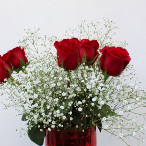 bouquet de noël gypsophile roses rouges livraison fleurs comparateur bloomyrama