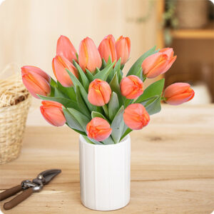 Bouquet de tulipes abricot livraiosn 123fleurs comparaisonde fleurs bloomyrama