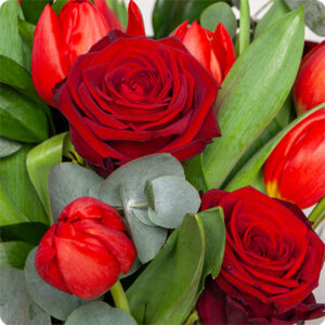 Bouquet roses et tulipes rouges livraison 123fleurs comparateur de fleurs bloomyrama